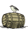 The gentle bird [~sister] of San Francesco di Assisi (it. "little French", eng. Francis, hun. Ferenc),  on the barrel [cask:vat:tub:cup] (lat. cupa ->  cuparius, eng. cooper, ger. Kfer:Kiefer:Kiefner:...)